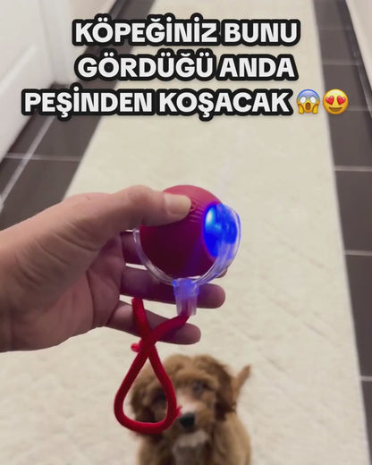 PatiTop™ Akıllı Evcil Hayvan Topu