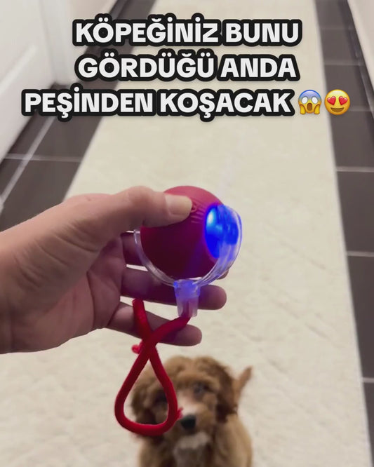 PatiTop™ Akıllı Evcil Hayvan Topu